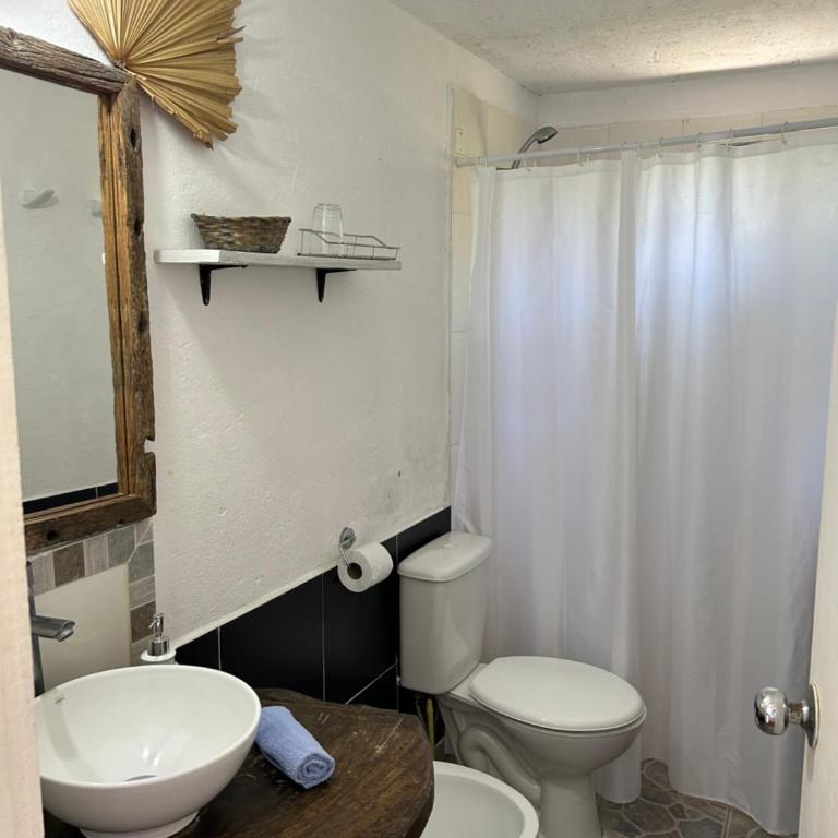 Lunas del Bosque Cabaña y apartamento en suite - Apartamento Estudio - 1