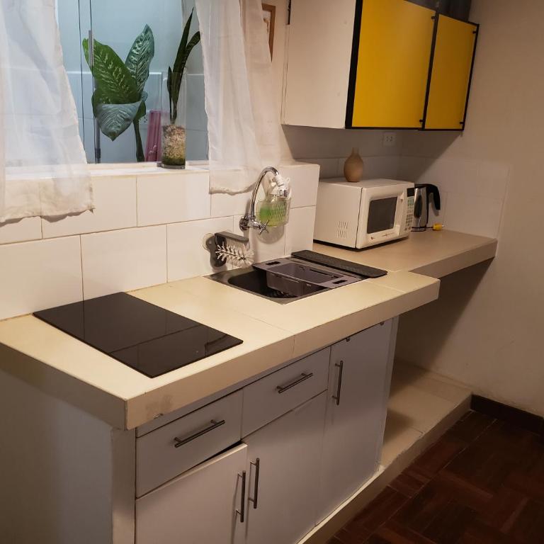 Centric, private, petfriendly budget apartments in Miraflores - Two-Bedroom Apartment - 2