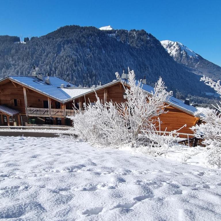 Les Chalets du Petit Châtel - Appartement 2 Chambres - 8
