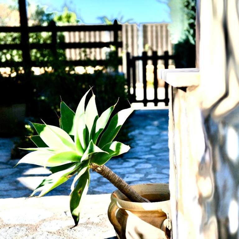 Villa Azzurromare - Cornino Custonaci - Casa Vacanze con 3 Camere da Letto - 35