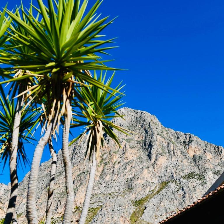 Villa Azzurromare - Cornino Custonaci - Casa Vacanze con 3 Camere da Letto - 48