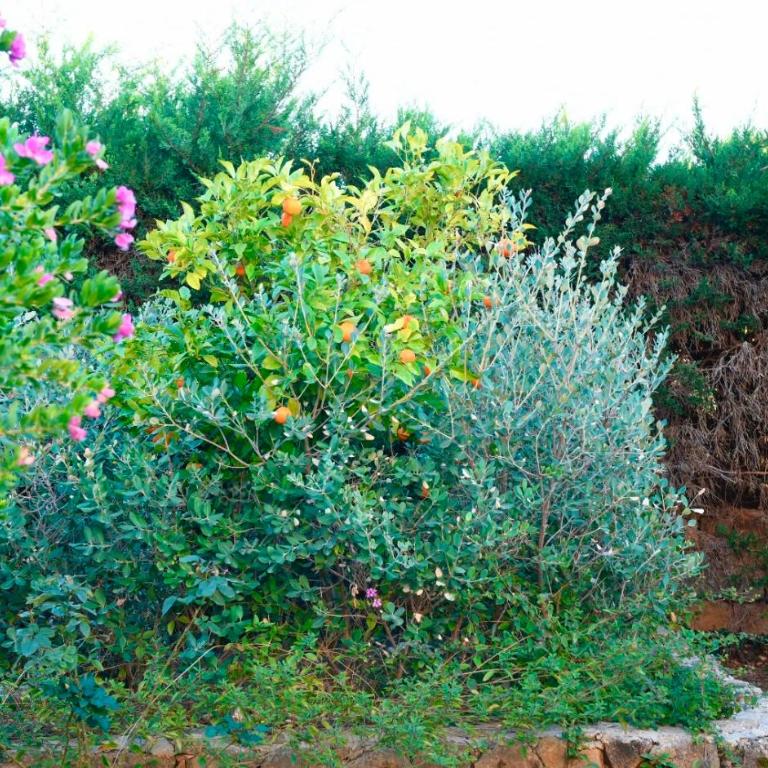 Villa Azzurromare - Cornino Custonaci - Casa Vacanze con 3 Camere da Letto - 54