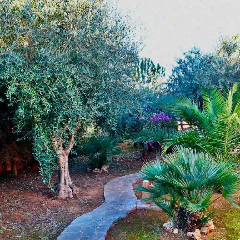 Villa Azzurromare - Cornino Custonaci - Casa Vacanze con 3 Camere da Letto - 67