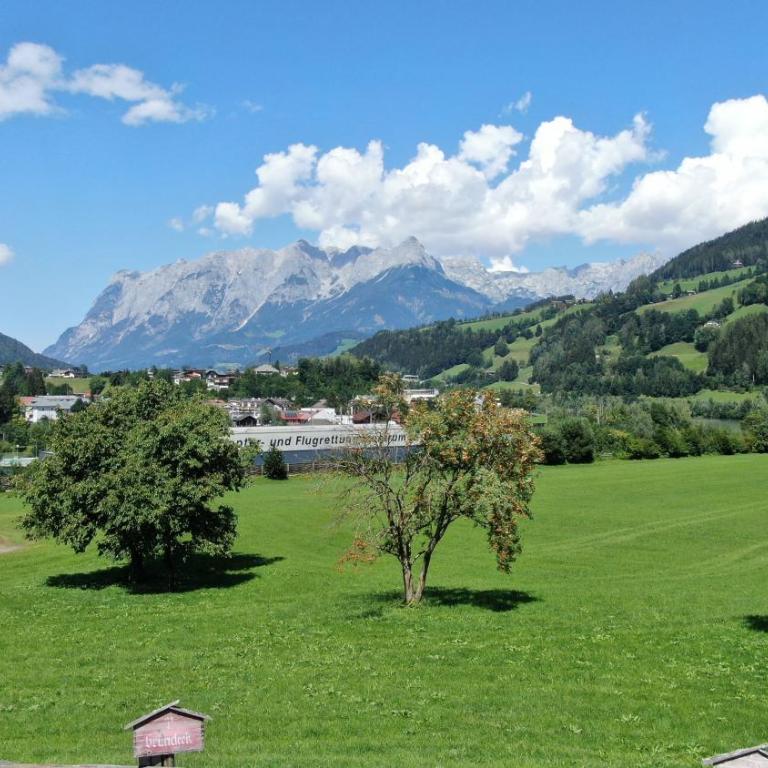 Familien-Bauernhof Neumoar - Apartment mit 1 Schlafzimmer - 14