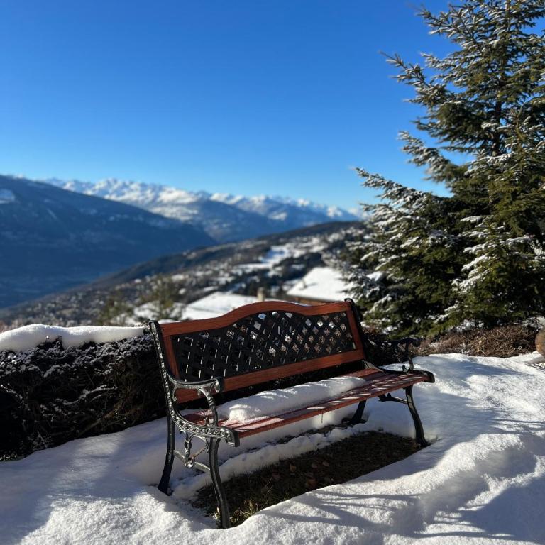 Chalet La Louise avec vue imprenable - Chalet 3 Chambres - 50