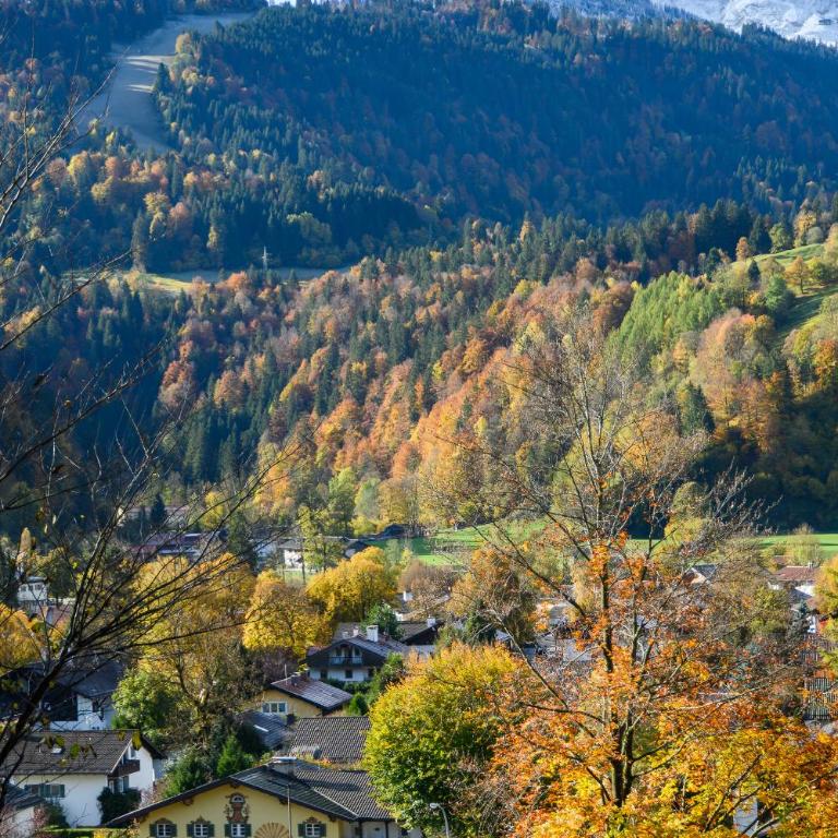 Alpenflair II Chalet - Appartement 2 Chambres - 38