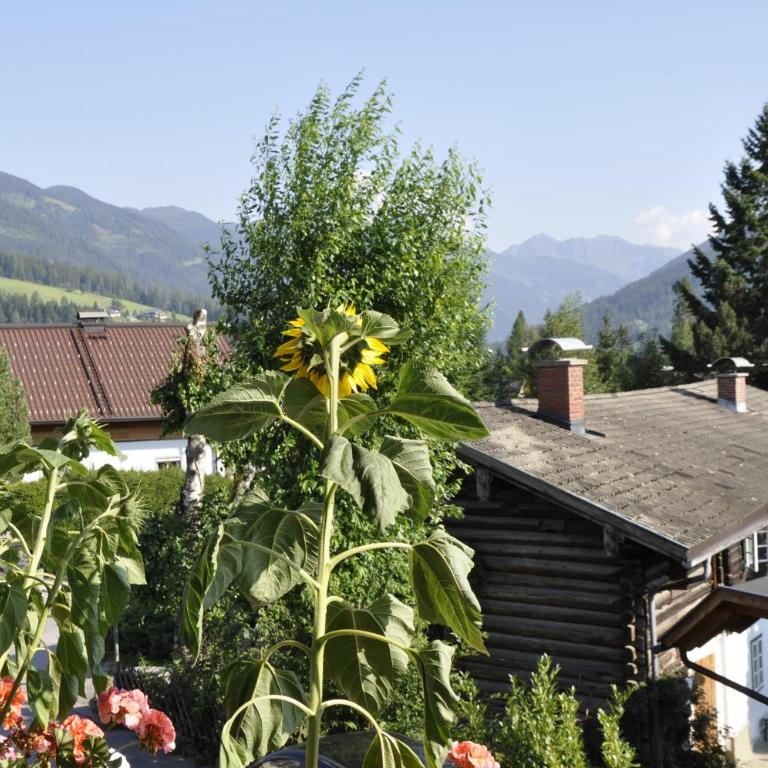 Apartments Radstadt - Apartamento de 1 dormitorio con balcón - 18