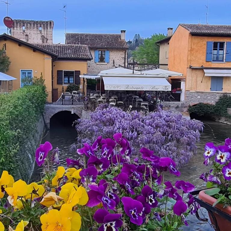 Casaflora_corteventurelli31 - Appartamento con 1 Camera da Letto - 34