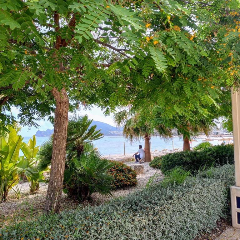 Townhouse Los Olivos M - Casa Unifamiliar de 3 dormitorios - 39