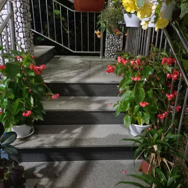 Apartman Varcar - Apartment - 17
