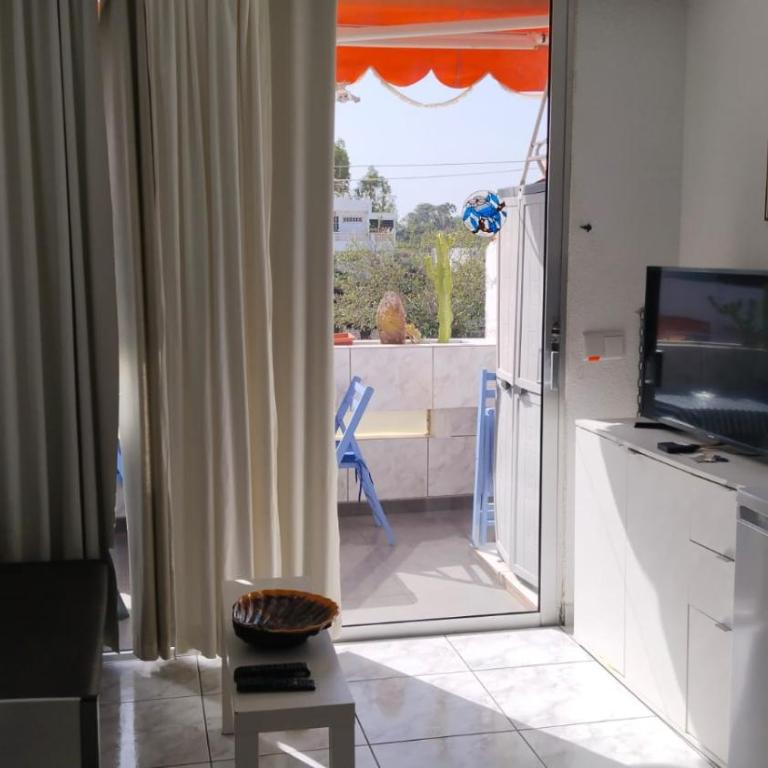 EL CHAPARRAL Studio-appartement with fantastic pool- view and STRONG WIFI - Apartamento con terraza - 13