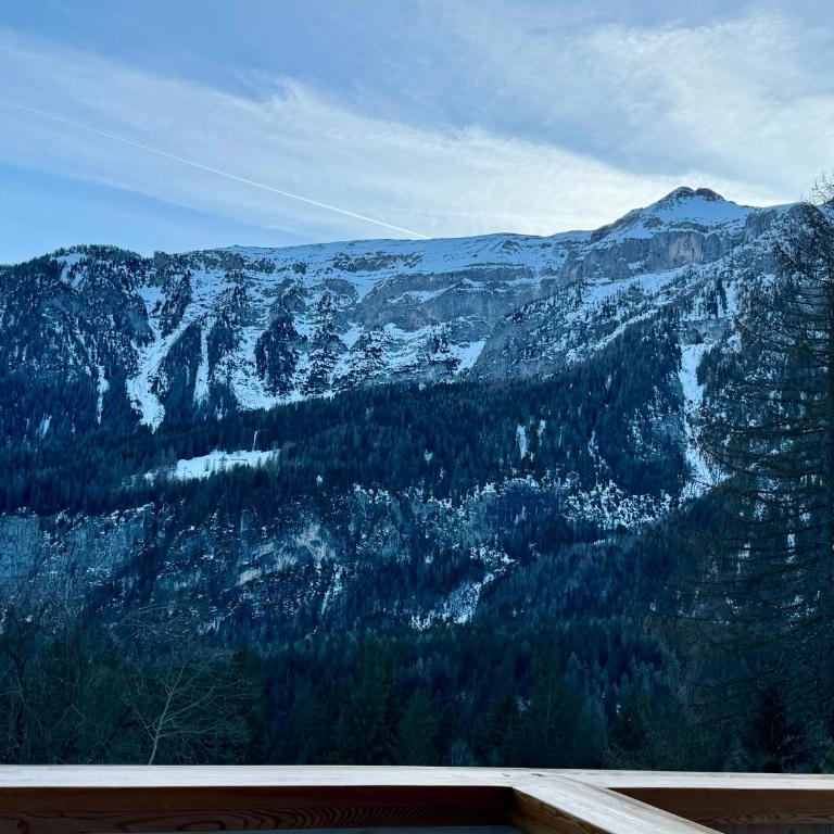 Appartamento - Residence I Larici - Appartamento con Vista Montagna - 12