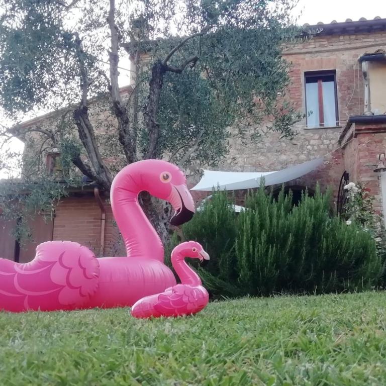 Agli Olivi di Marciano - Appartamento con 1 Camera da Letto - 21