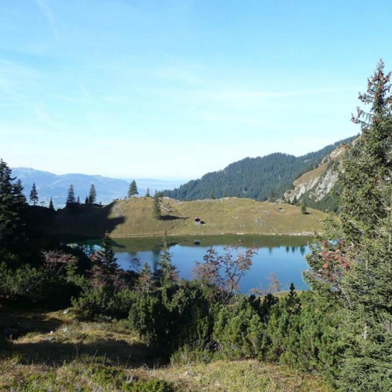 Edelweiß Hörnerbahnen von Mai bis Oktober frei - Apartment mit 2 Schlafzimmern - 10