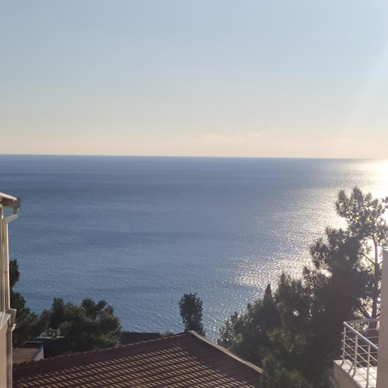 Pines & Waves Spacious House with the Sea View - Maison 4 Chambres - 6