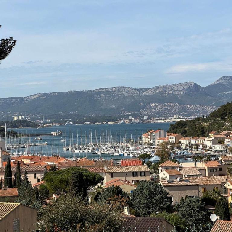 Grand T2 avec loggia et terrasse à proximité du port de Saint Mandrier et des plages - Apartamento de 1 dormitorio - 16