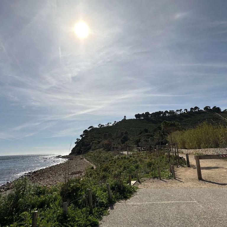 Grand T2 avec loggia et terrasse à proximité du port de Saint Mandrier et des plages - Apartamento de 1 dormitorio - 17