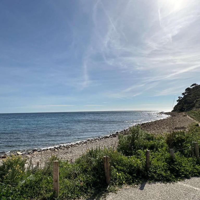 Grand T2 avec loggia et terrasse à proximité du port de Saint Mandrier et des plages - Apartamento de 1 dormitorio - 18