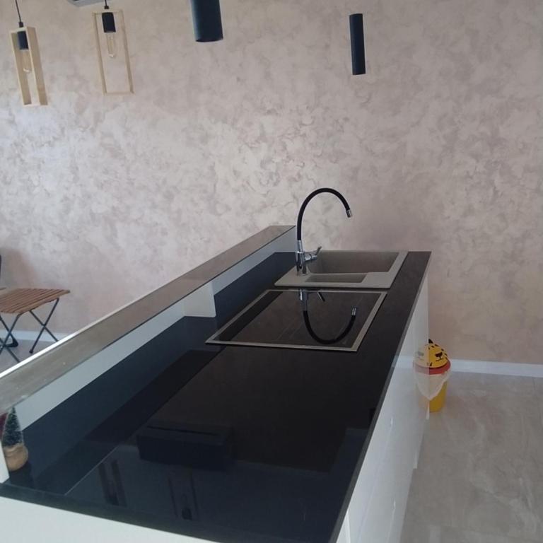 Pines & Waves Spacious House with the Sea View - Maison 4 Chambres - 17