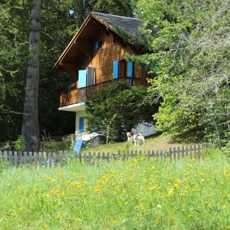 Chalet Privé avec vue imprenable sur les alpes - Chalet 3 Chambres - 12