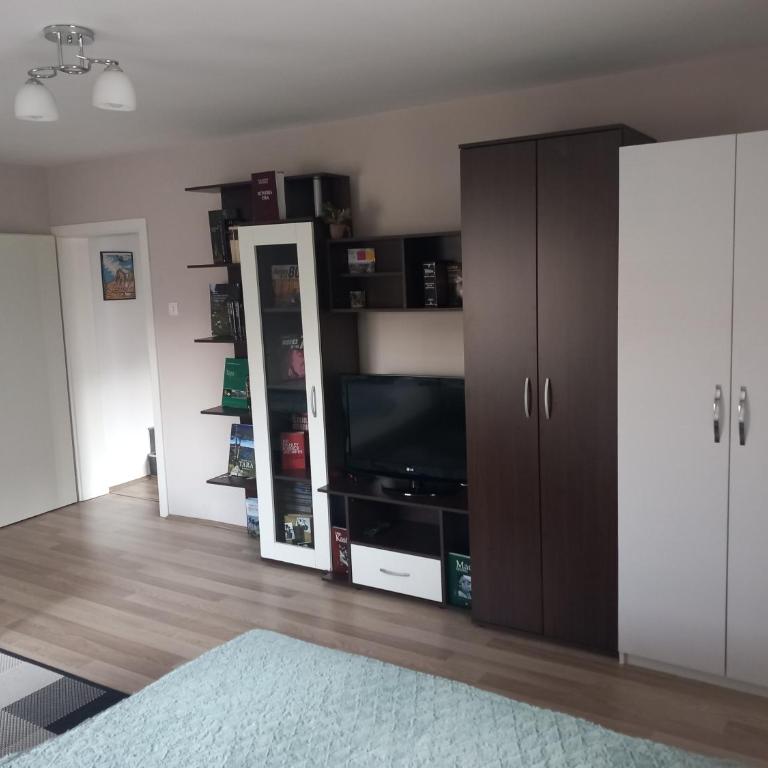 Guest house Dagovic - Apartman sa 1 Spavaćom Sobom - 17