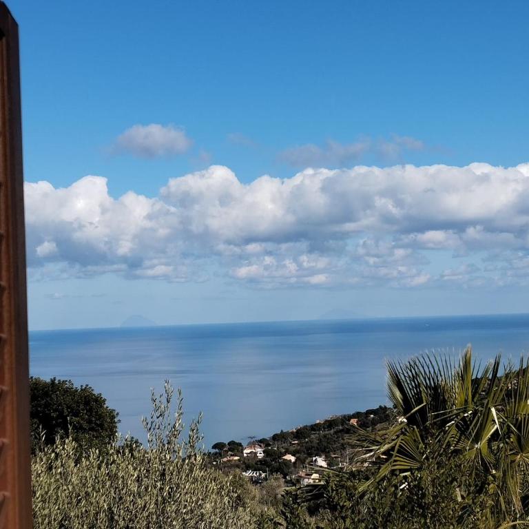 Casa delle palme - Appartamento con 2 Camere da Letto - 38