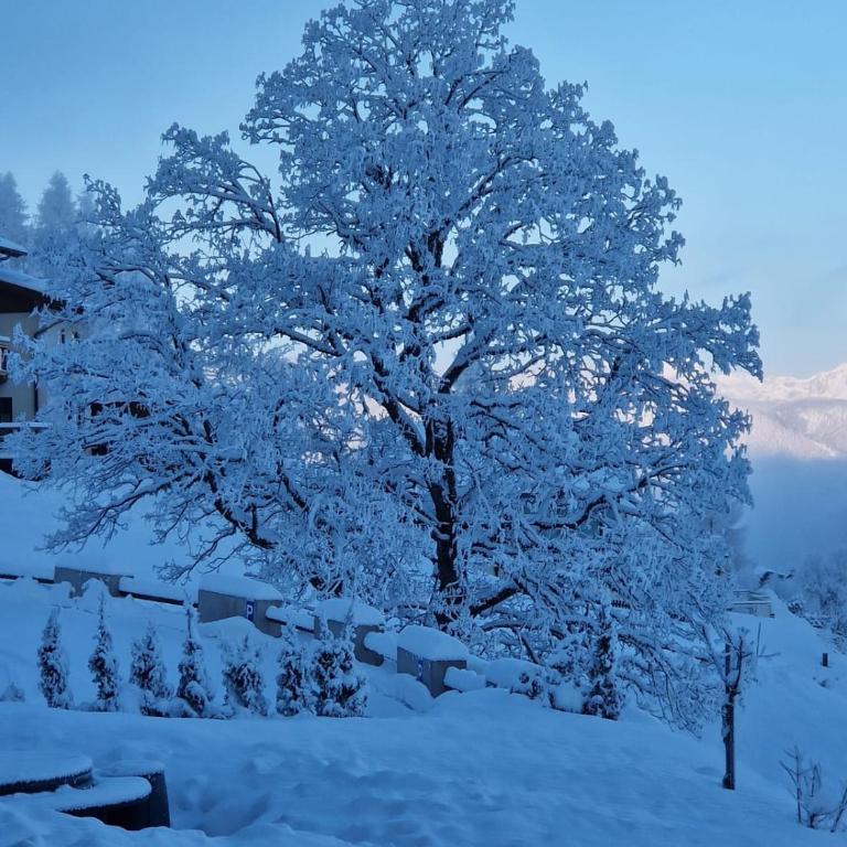 Ferienwohnungen Reinbacher - Primps - Apartment mit Blick auf die Berge - 15