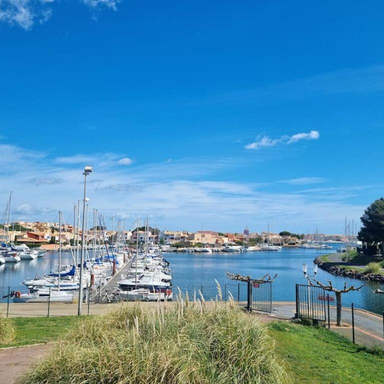 CAP2 Studio Parking Port Cap d'Agde - Apartamento de 1 dormitorio - 18
