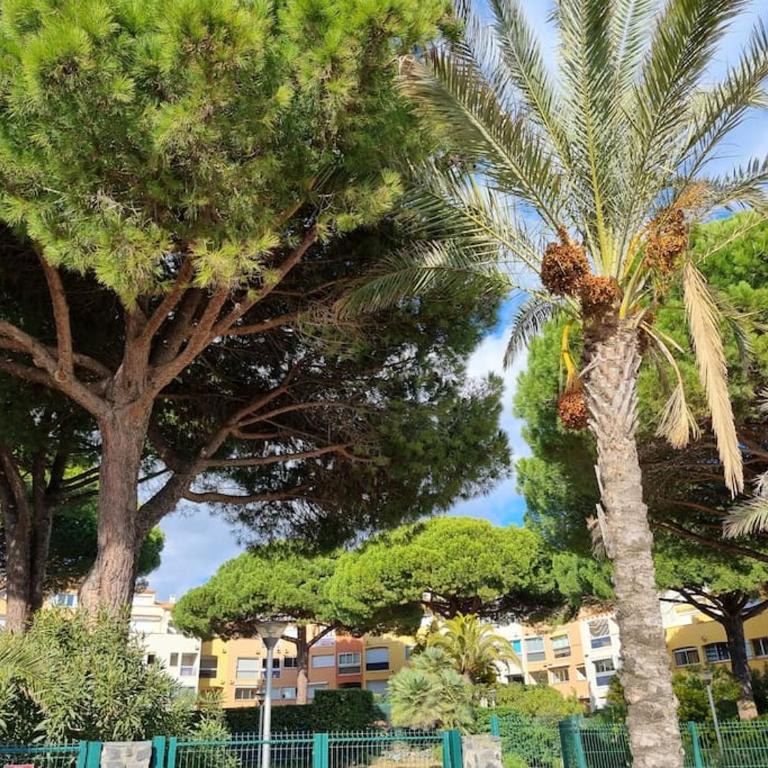 CAP2 Studio Parking Port Cap d'Agde - Apartamento de 1 dormitorio - 28