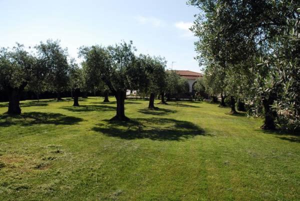 Bed And Breakfast Eden Green - Camera Matrimoniale/Doppia con Letti Singoli con Bagno Privato - 4