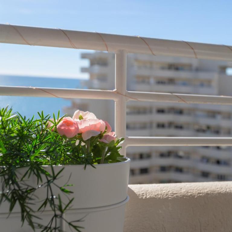 Apartamento costa del Sol - Apartamento de 1 dormitorio - 12