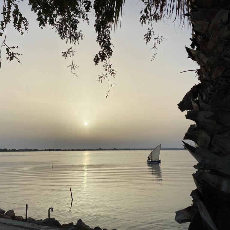 Les pieds dans l’eau - Chambre Double – Vue sur Lac - 17