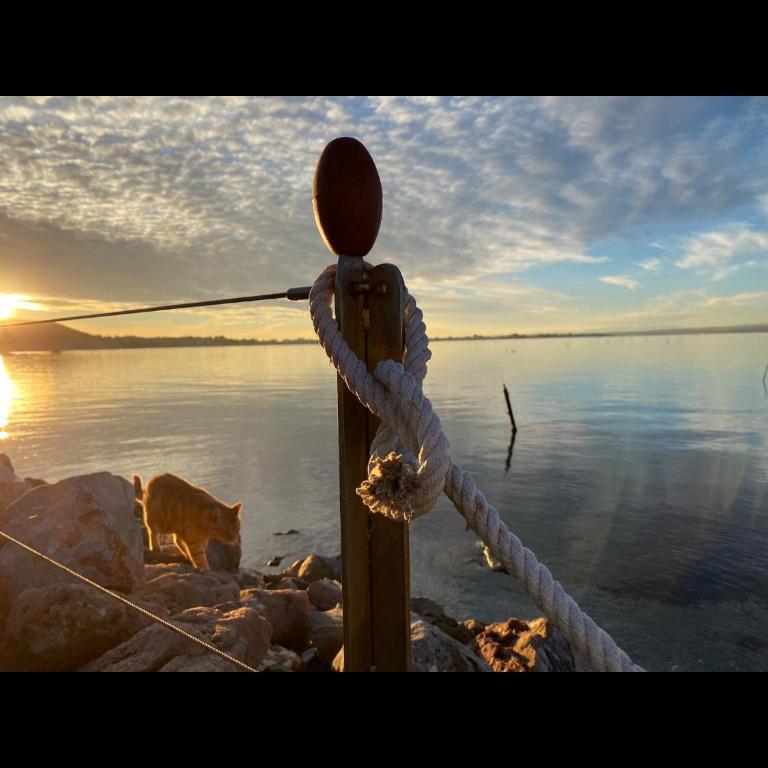 Les pieds dans l’eau - Chambre Double – Vue sur Lac - 18