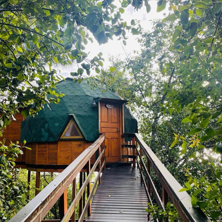 Glamping Domos del Lago - Estudio Doble Deluxe - 1