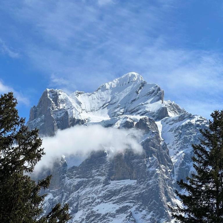 Eagle's Nest - Apartment mit Blick auf die Berge - 25