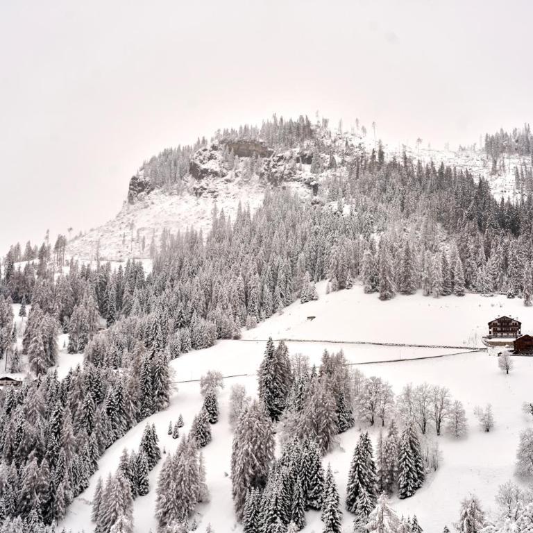 Beautiful barn with garden and stunning view - Chalet Superior - 41