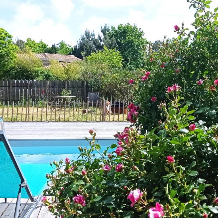 Maison bois chez M&D - Villa - 21
