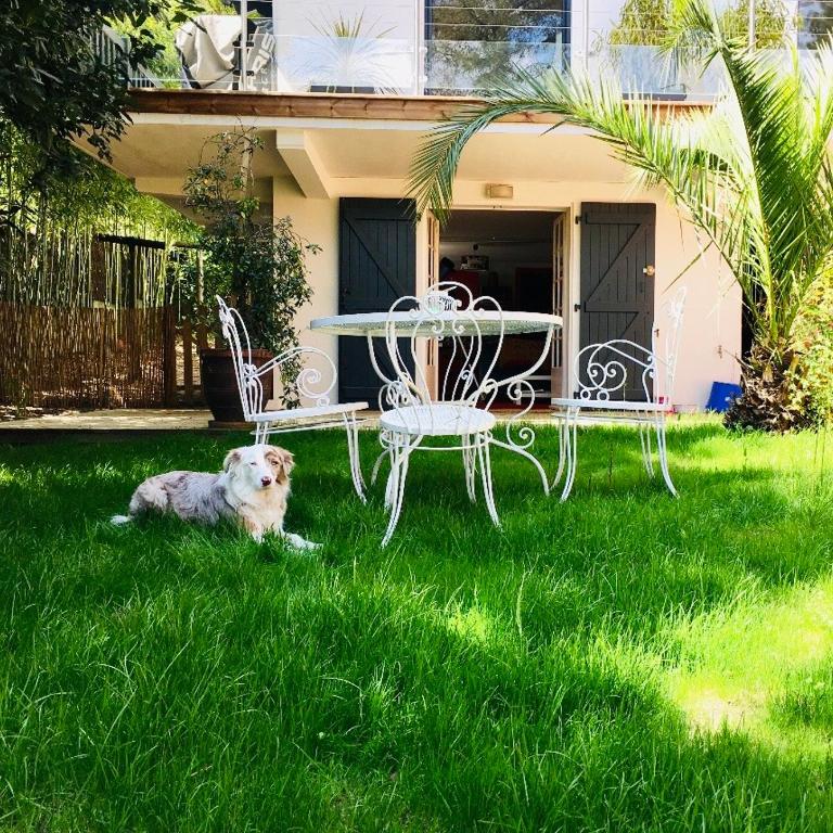 Charmant T2 jardin près des plages et du golf Seignosse - Apartamento de 1 dormitorio - 2