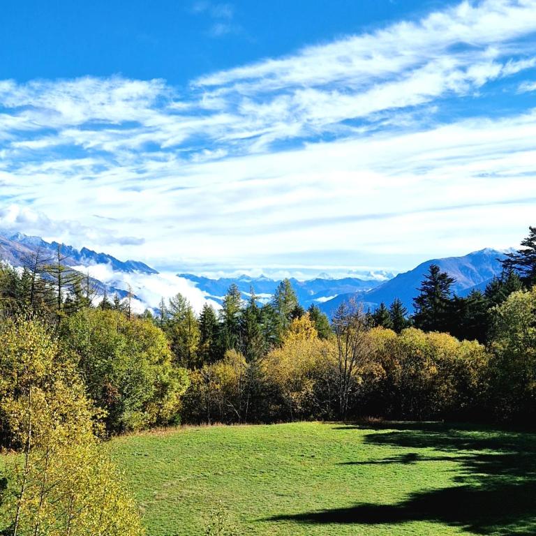 Cozy Studio Retreat - completely renovated in a perfect location - Appartement 1 Chambre - 11