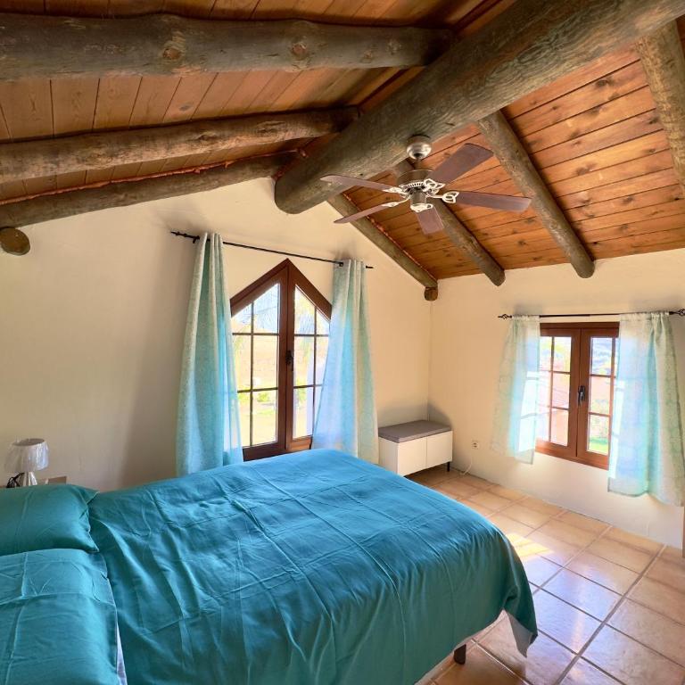 Finca el Cerro - Piscina y Jacuzzi - Chalet - 41
