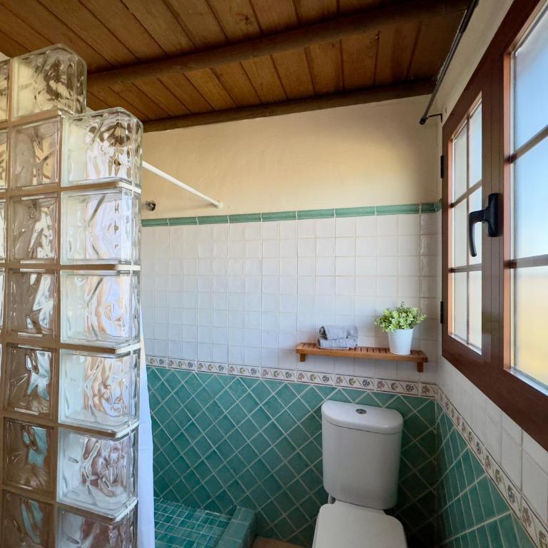 Finca el Cerro - Piscina y Jacuzzi - Chalet - 29