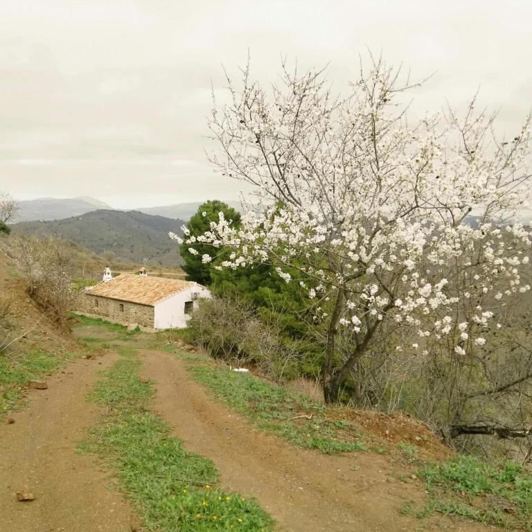 Pinar El Almendra - Casa de 3 dormitorios - 49