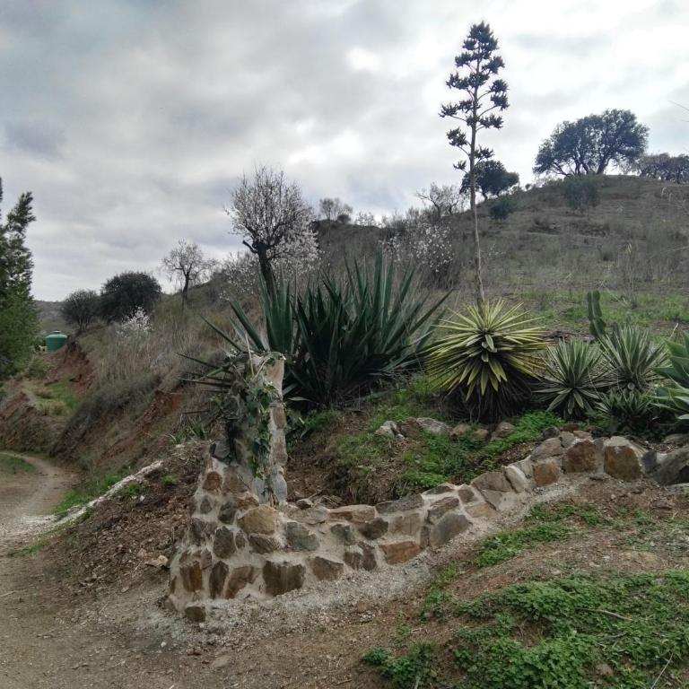 Pinar El Almendra - Casa de 3 dormitorios - 44