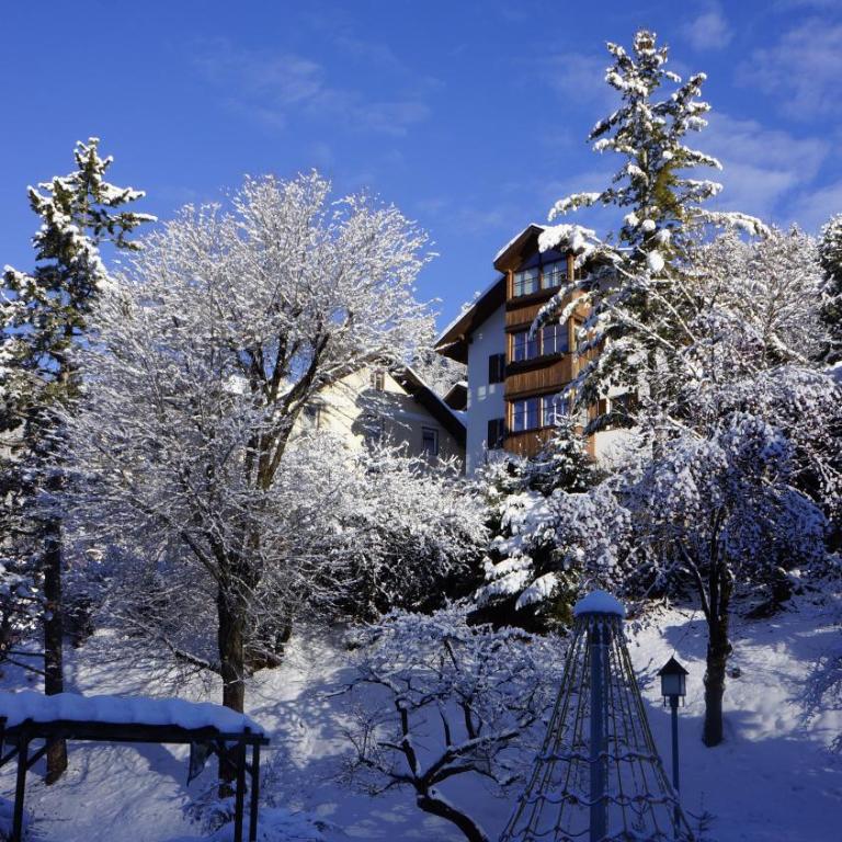 Apartment Cesa Collina- Family Retreat - Appartamento con 2 Camere da Letto - 37