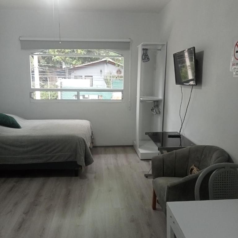 EL LOFT DE COYOACAN - One-Bedroom Apartment - 2