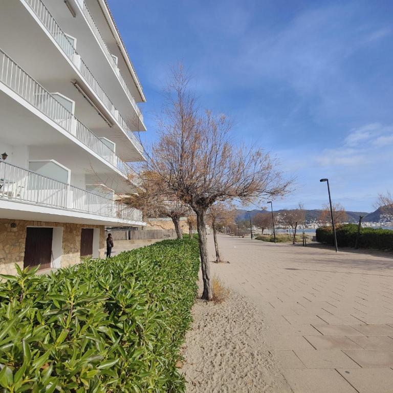 Apartamento frente al mar con gran terraza en Roses - ES-258-18 - Apartment - 5