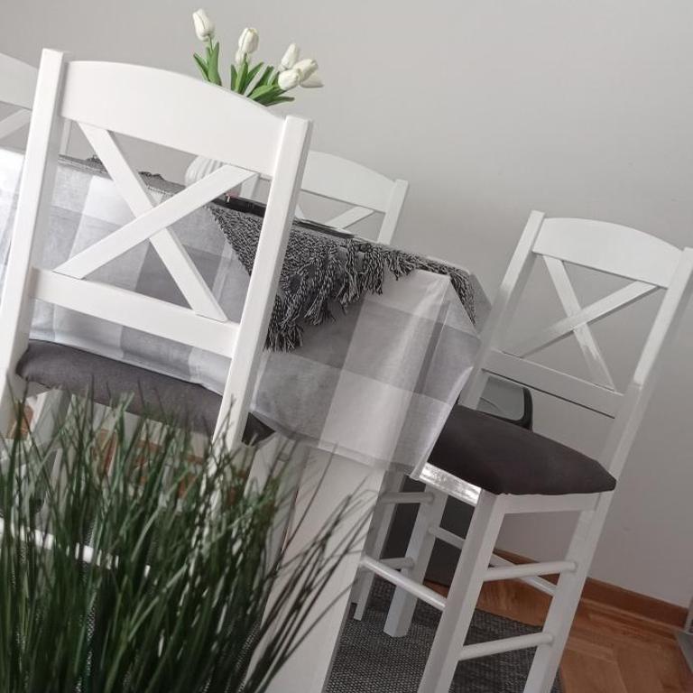 Apartman Harmonija Vrnjačka Banja - Apartman sa 1 Spavaćom Sobom - 11