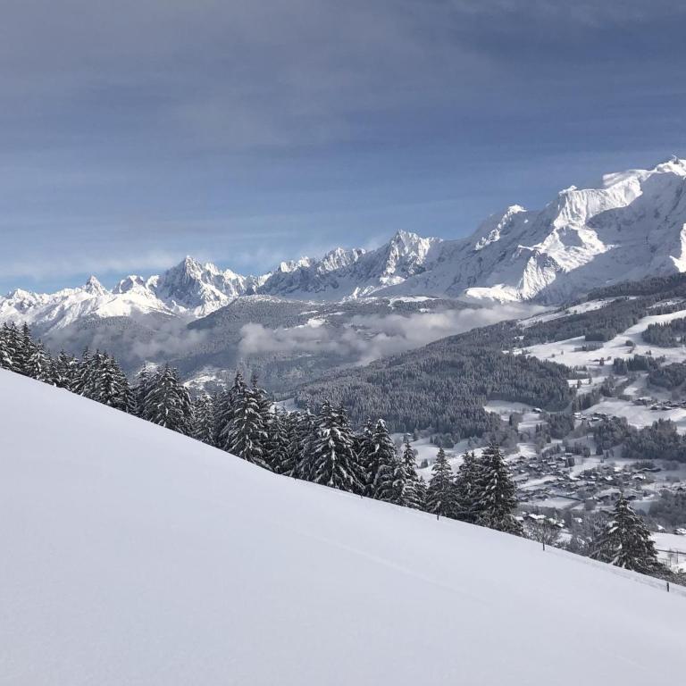 SmartStay - Chalet face au mont Blanc - Chalet - 42