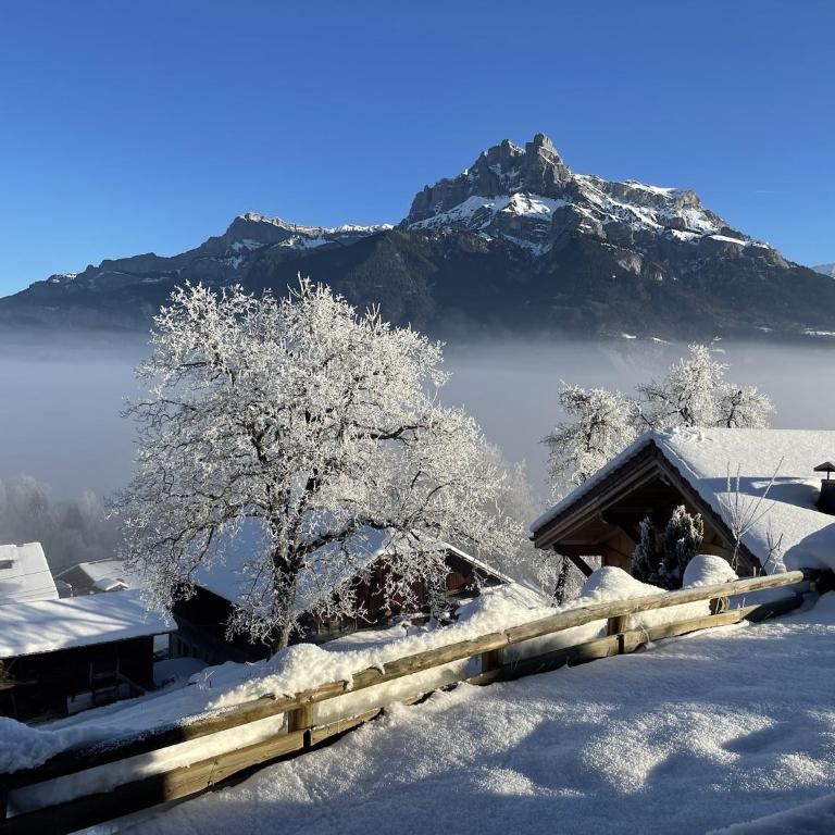 SmartStay - Chalet face au mont Blanc - Chalet - 43