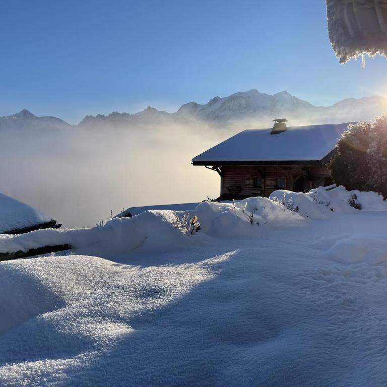 SmartStay - Chalet face au mont Blanc - Chalet - 44